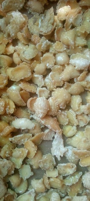 Boysun togʻning sifatli va toza kavrak  danagi