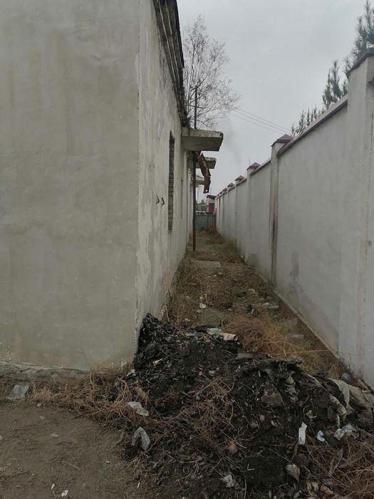 Нотурар бино Улугнор