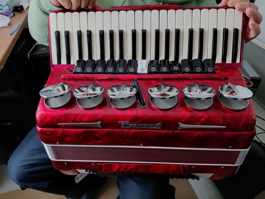 Vand Acordeon Parot gama profesionala