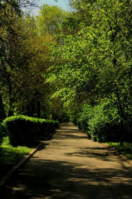 фотоаппарат Canon EOS 1200D