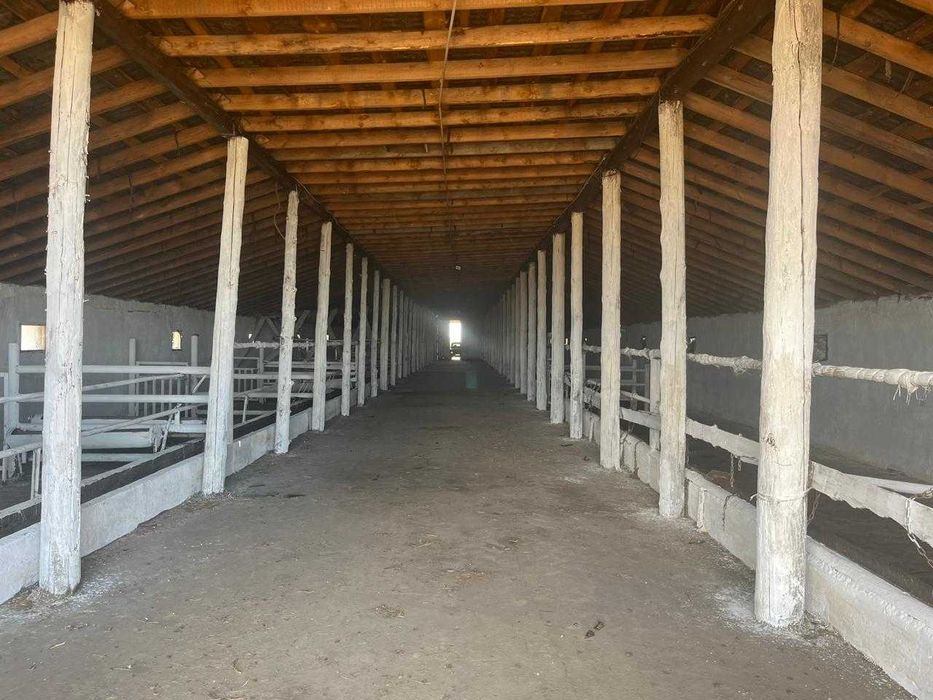 Животноводческая база