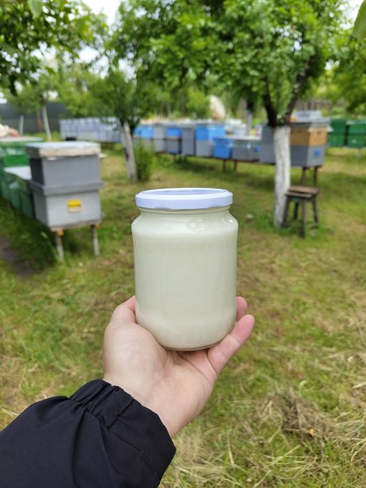 Miere de rapiță naturală 100%