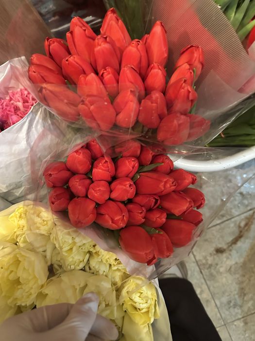 Продам тюльпаны крупные по вкусной цене