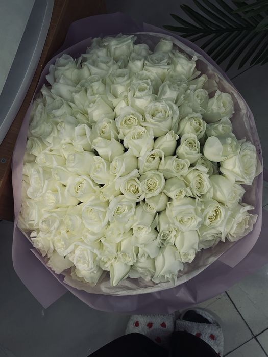 Продам цветы свежый