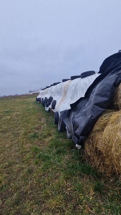 Vând BALOȚI amestec furajer-BOTOȘANI