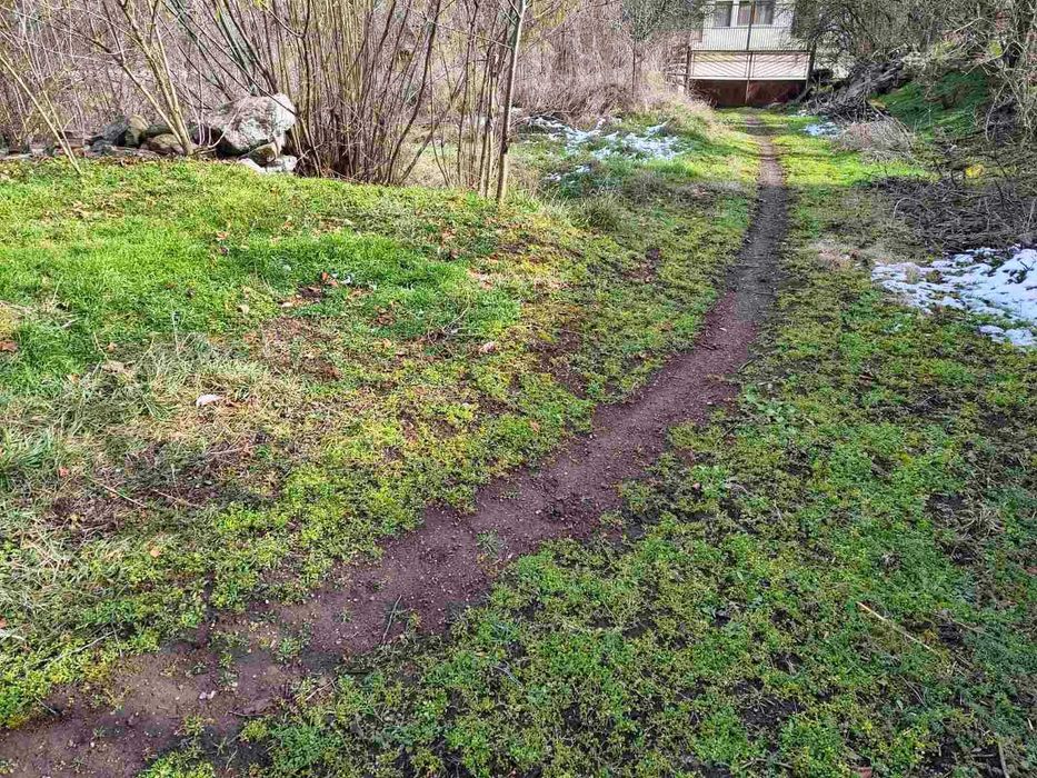 Парцел-с.Елешница-обл.София