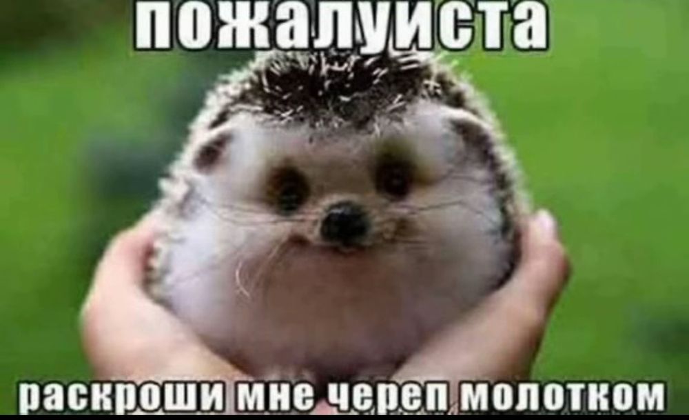 Белая пс 4 фат с кучей игр
