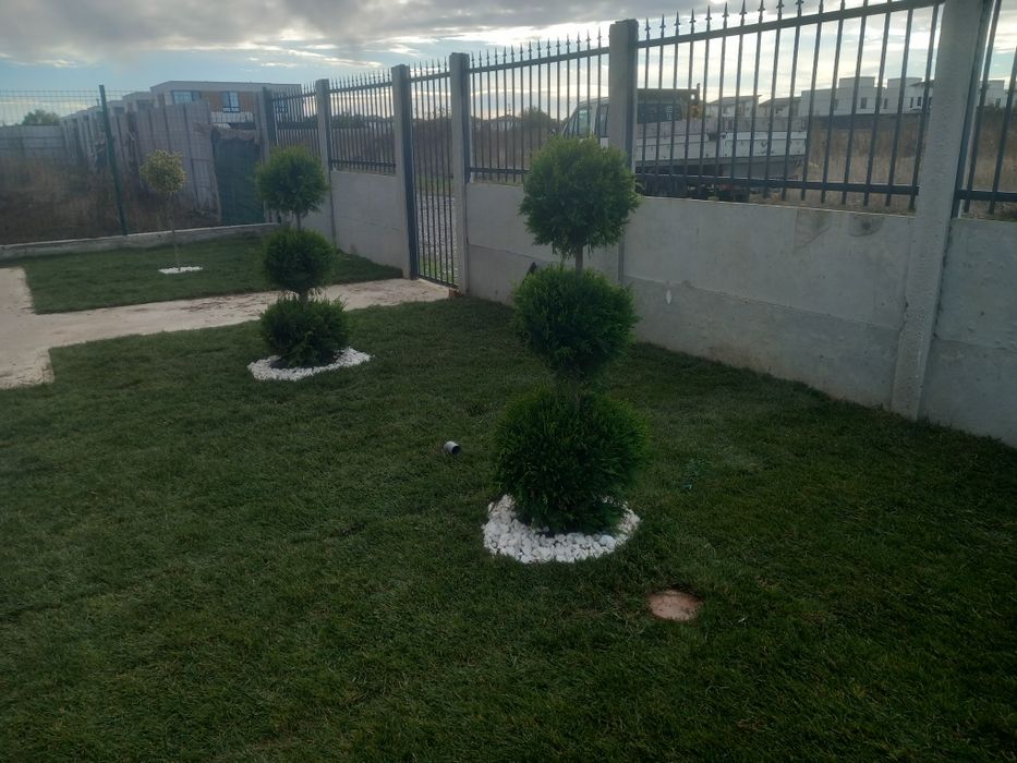 Amenajări spatii verzi