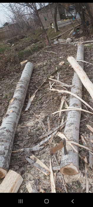 Terak g‘o‘la sotiladi