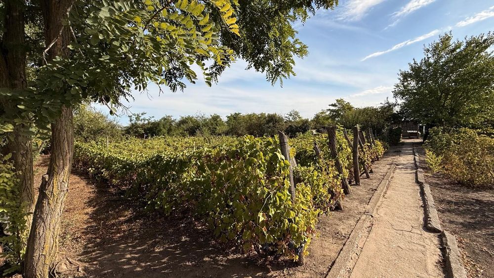 Casa si teren de vanzare