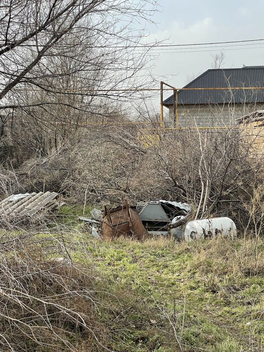 Агаштар баудан шыккан