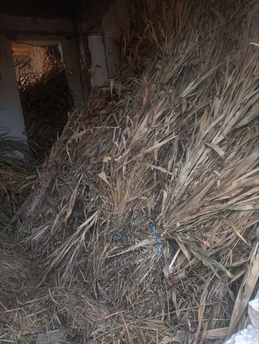 Juvari poya sotiladi 1000 vog' qoldi