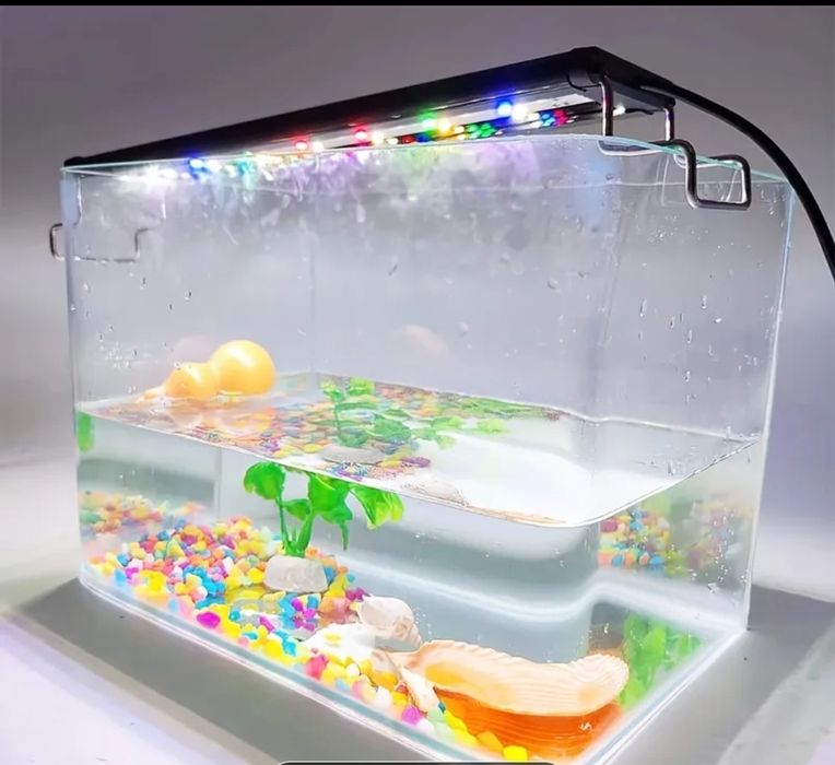 Специализирани аквариумни лампи и корени от азалия