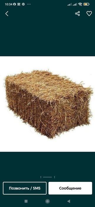 Somon, PRESS LOMBOZGA somonlar Qamich