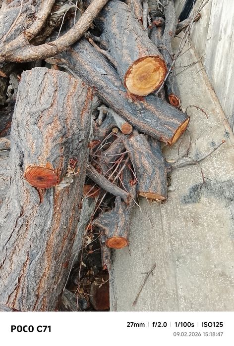 У́тин сотилади 1 лабо