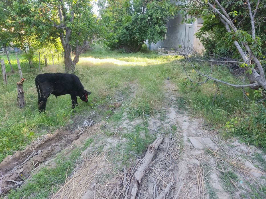 Ер сотилади Yer sotiladi Земля продается