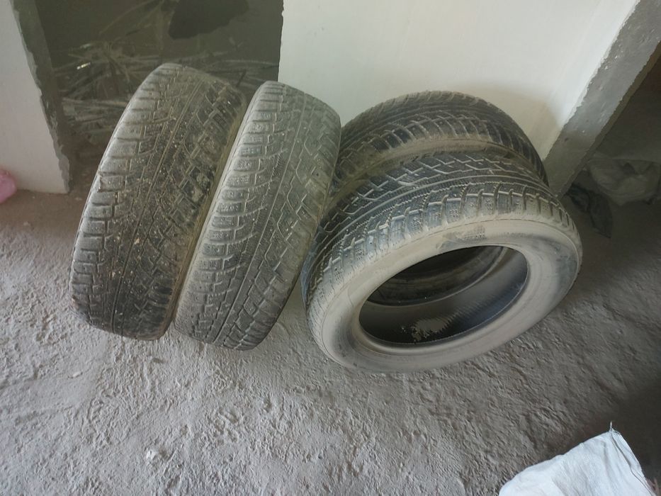 Zimniy shina kaptiva sotiladi