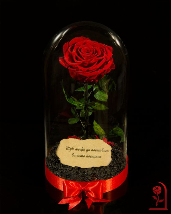 Истинска Вечна Роза в ГОЛЯМА Стъкленица / Подарък за Коледа за Жена