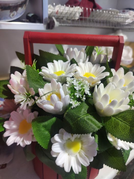 har hil turdagi sovun va kapalak gullari zakas olamz