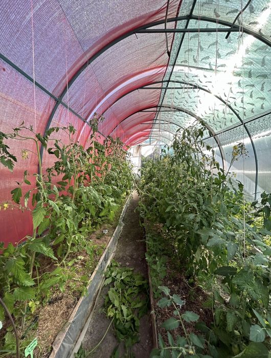 Продам теплицу 3*8