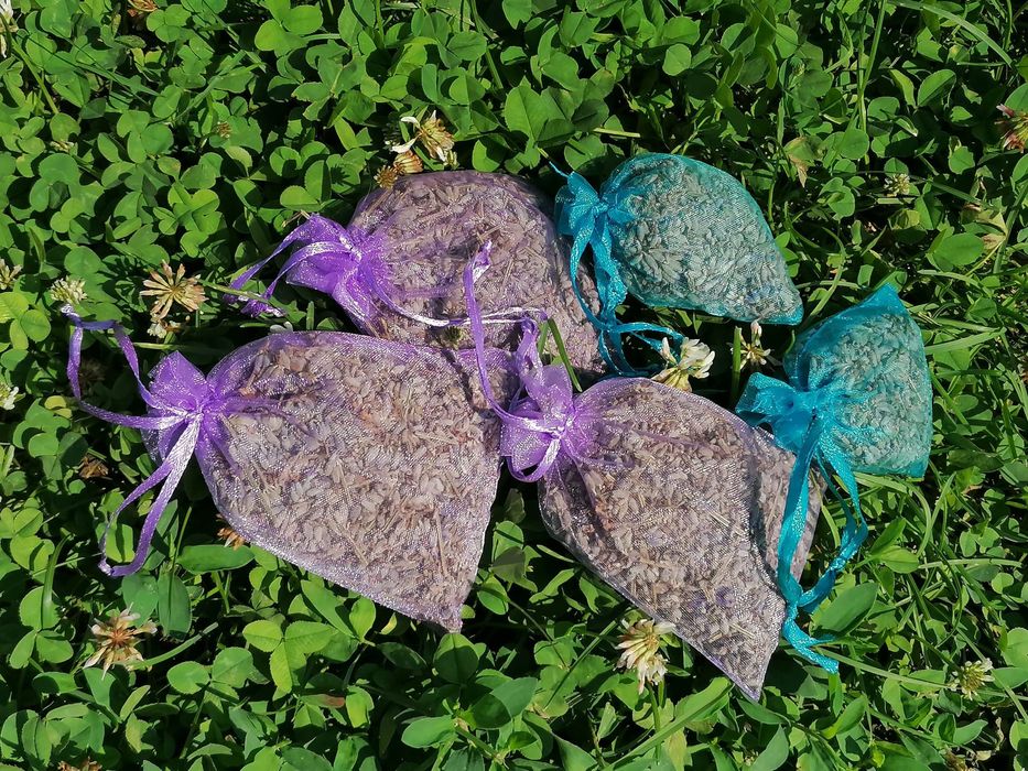 lavanda saculeti