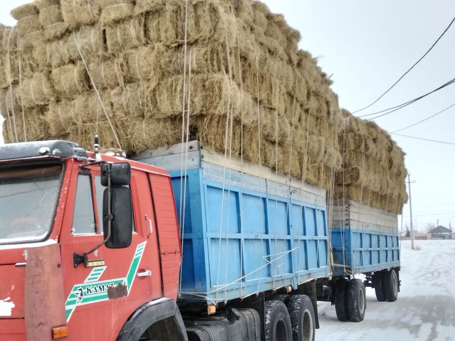 Продам сено тюковое