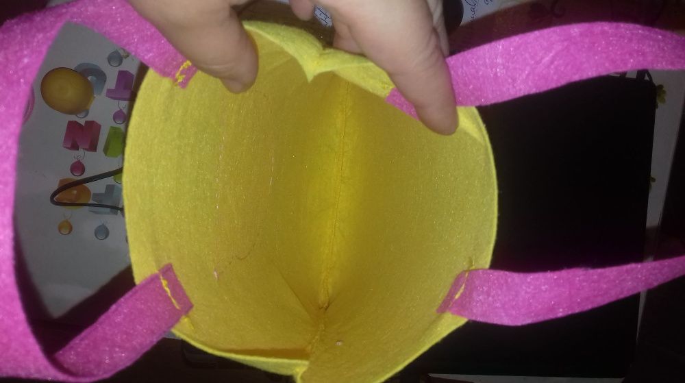 sacosa handmade fetru