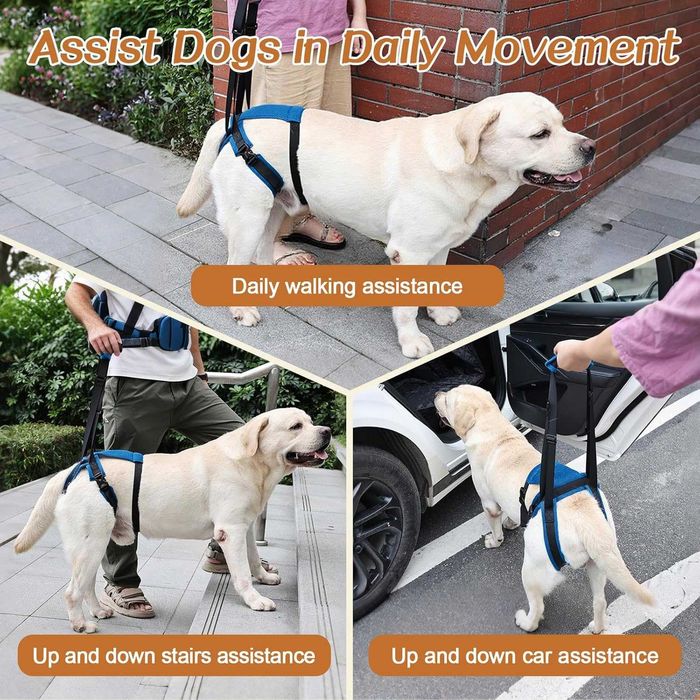 MIGHTYDUTY Колан за повдигане на кучета за задни крака, регулируем, XL