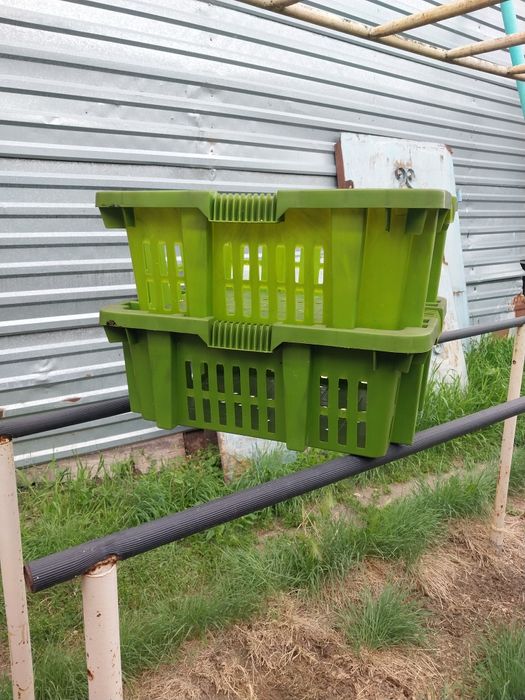 Клетки для содержания цыплят,утят,гусят,индюшат