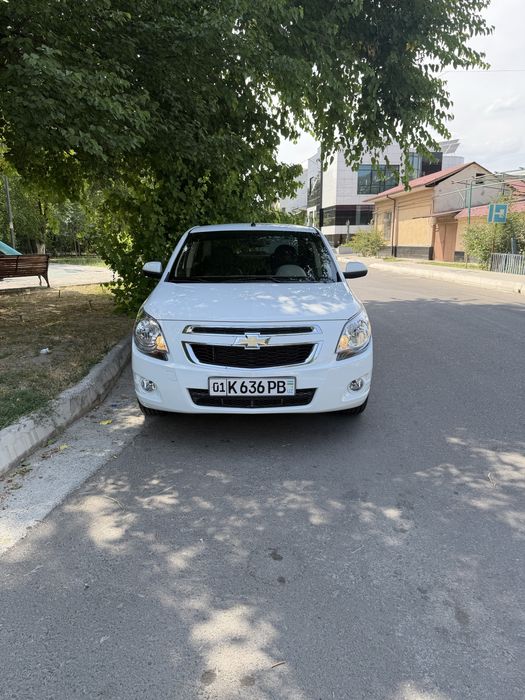 Kobild 2024 yil 7000 km yurgan
