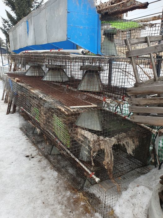 Клетки для кроликов