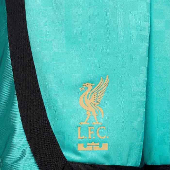 Мужские шорты Nike LeBron x Liverpool FC Dri-Fit DNA Basketball Shorts
