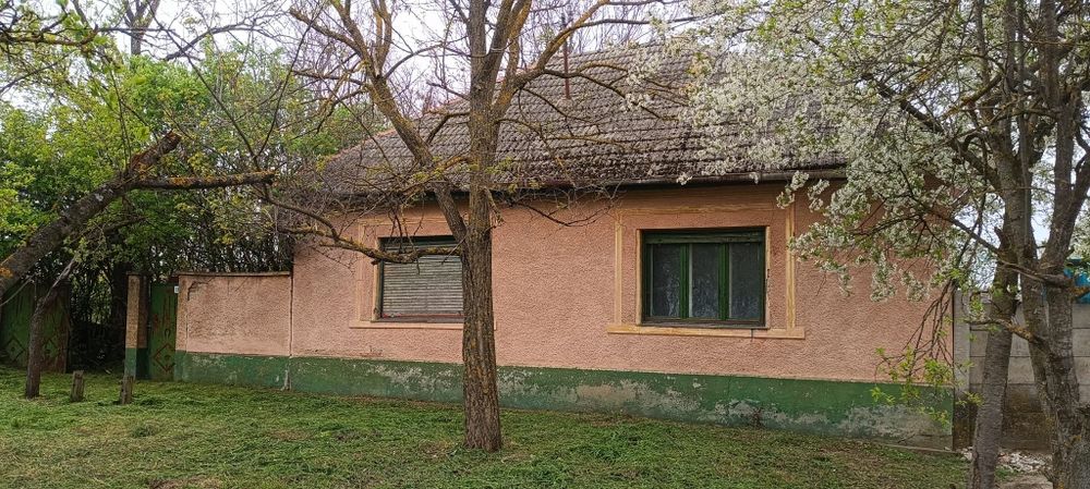 Vand casa in Peregul Mic  jud Arad preț 24700 euro neg