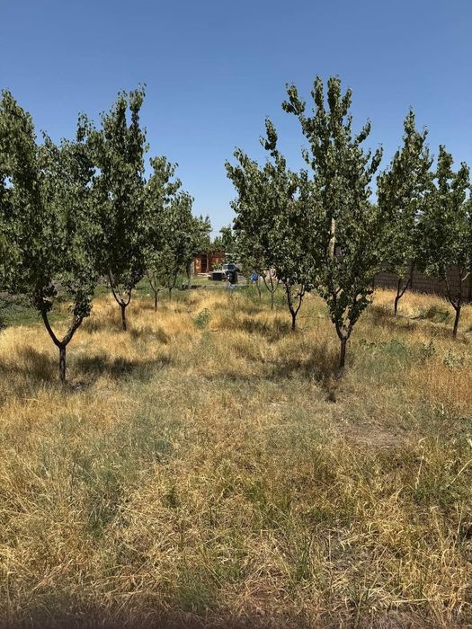 8.7 сотих ер участкаси 2 хона уй кадастр хужжатлари