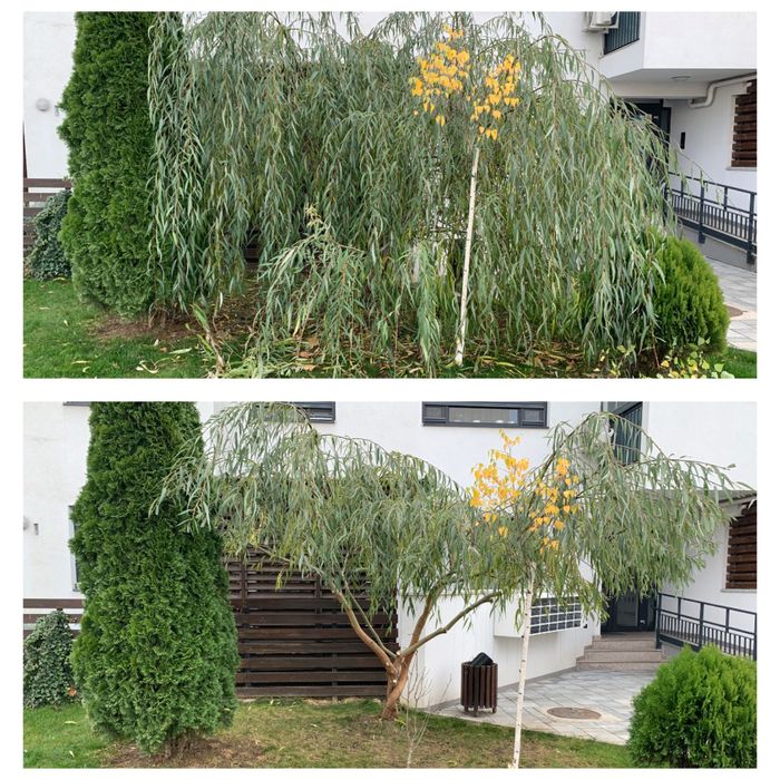 Intretinere si amenajare gradini, spatii verzi si sisteme de irigatii