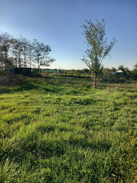 Proprietar vand Teren intravilan 500 mp Albota