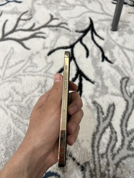 Iphone 12 pro maxx