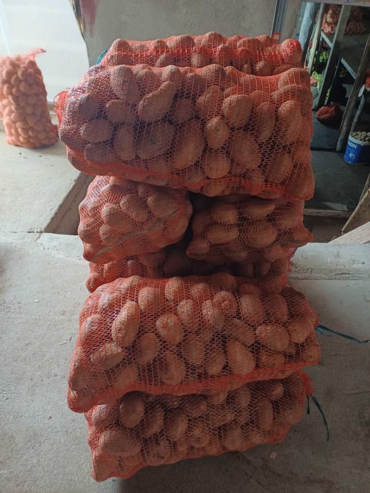 De vanzare cartofi de consum