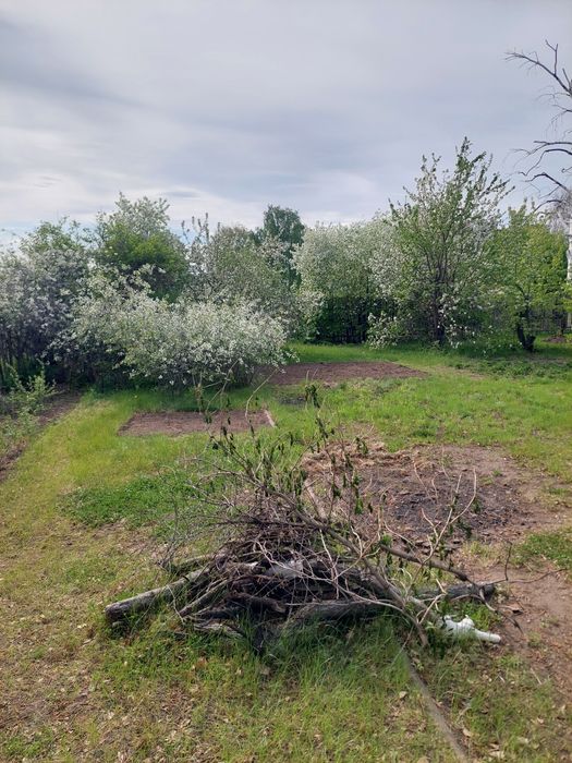 Продам дачу сад здоровье