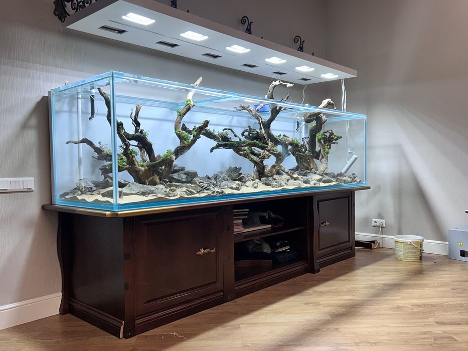 Дизайн аквариумов