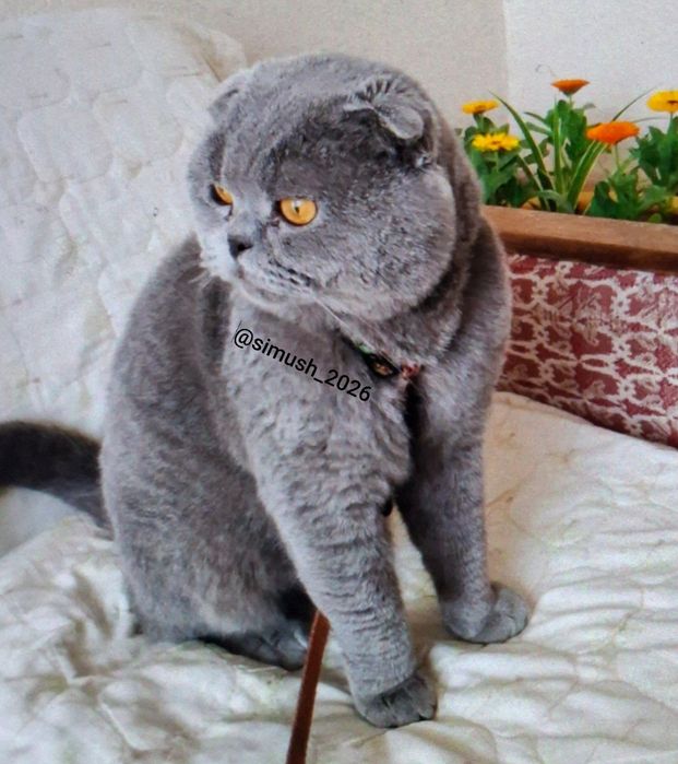 ВЯЗКА!!! Не продаётся