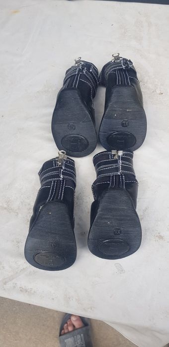 Обувь для собаки