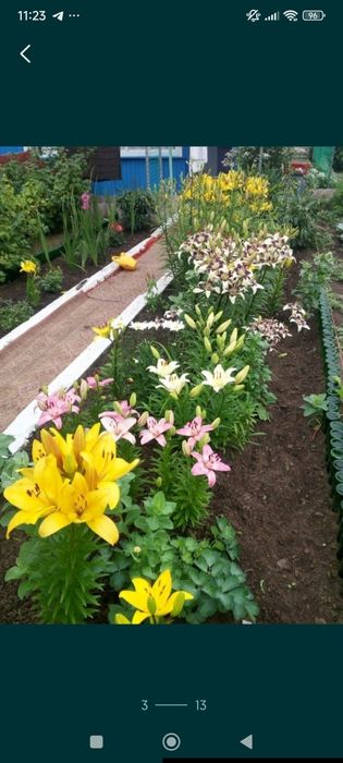 Продам дачу СО Железобетонщик