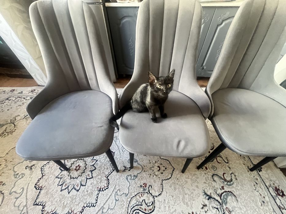 Кухонные стулья