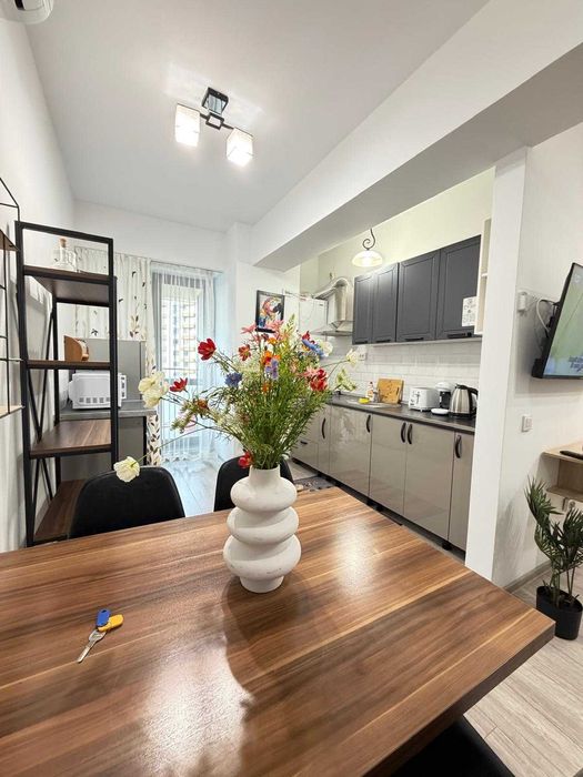 IS Cazare Apartamente 1-2-3 Cam Regim Hotelier Centru-Palas-Newton