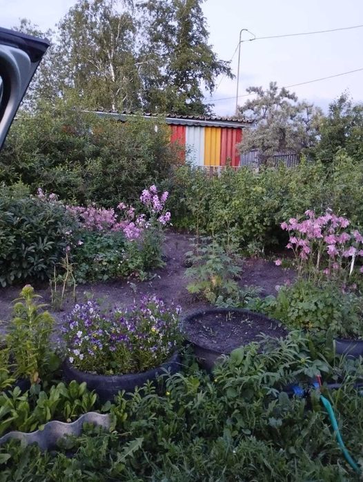 Продам дачу в обществе Борки