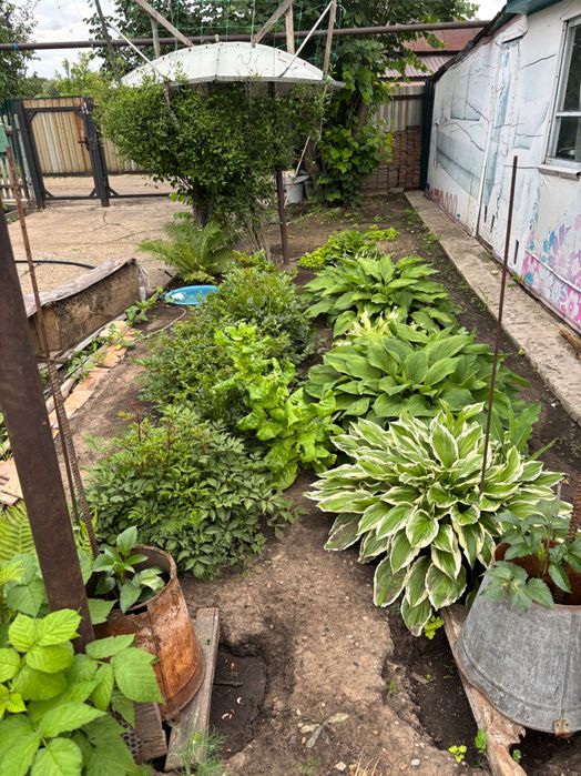 Продам уютный дом в тихом месте