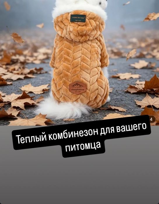 Комбинезон для собак и кошек