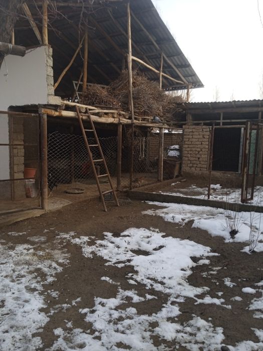 Ер участка ховли стилади.