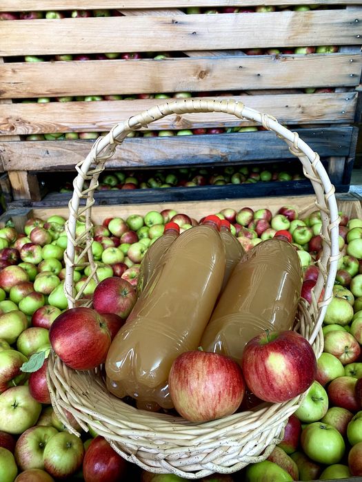 Suc de mere 100% natural